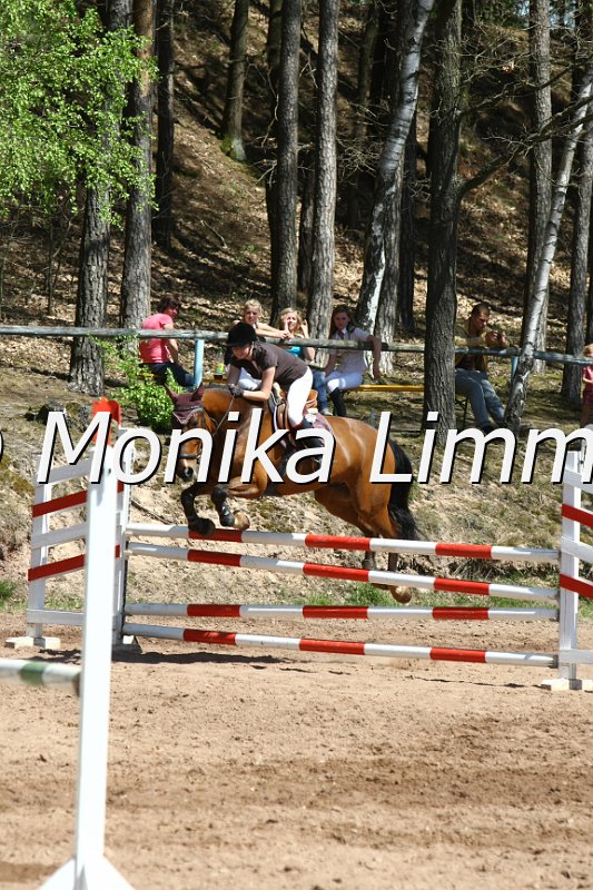 204M8555_Stardust Harry_Spring_Axx.JPG